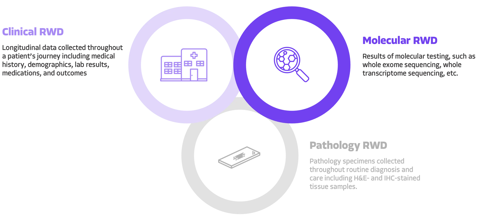 3 types of real-world data: clinical, molecular and pathology