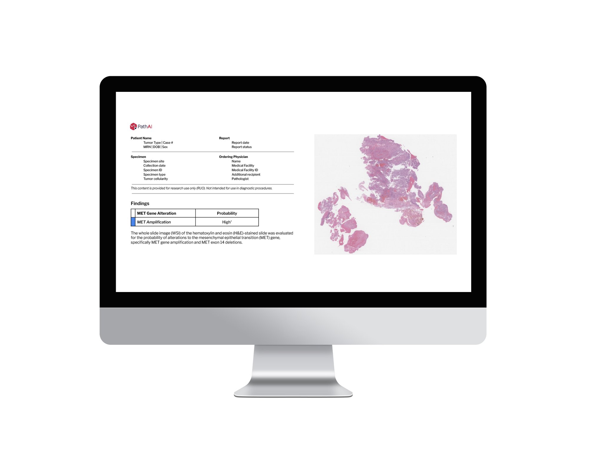 Molecular-PDF-Screen-Mockup