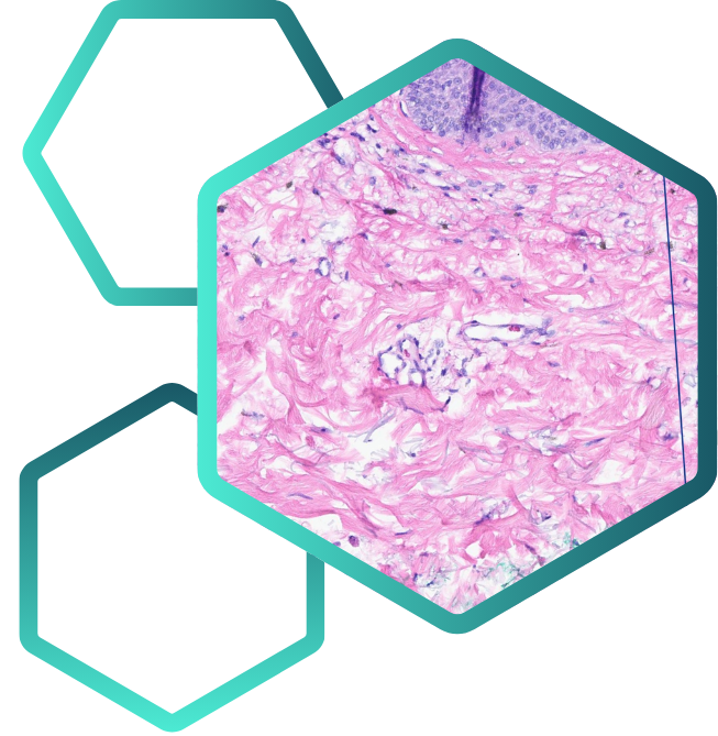 Precision Pathol