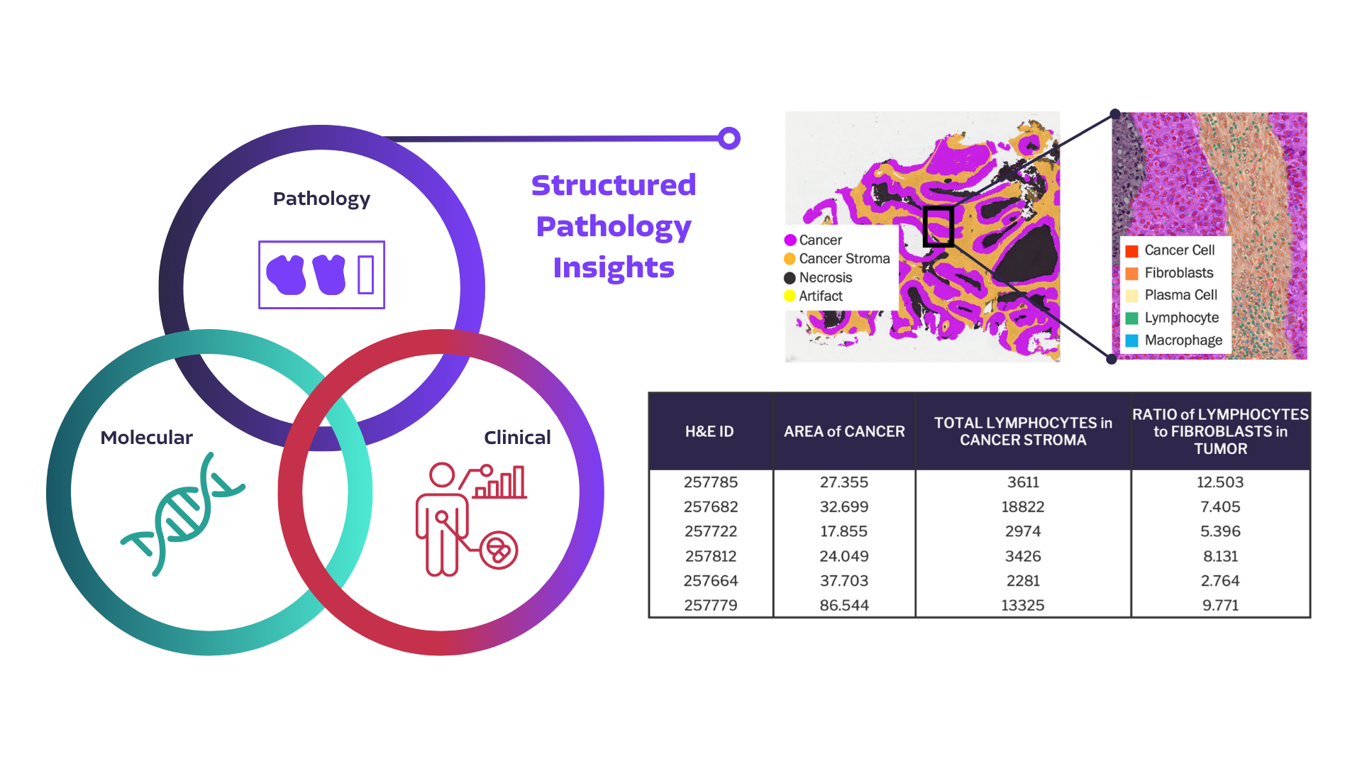 RWD-structured-path-insights