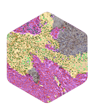 hex-aiproduct-aimpdl1-400