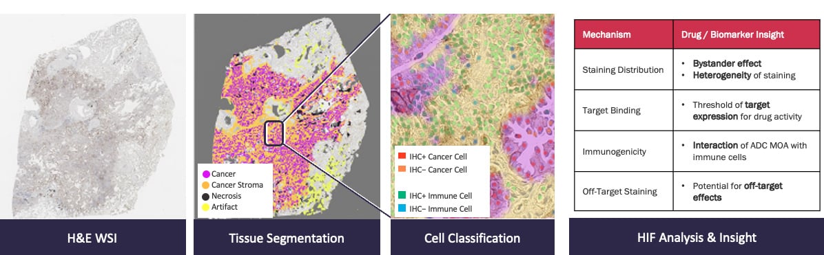 pathexplore-ihc-features